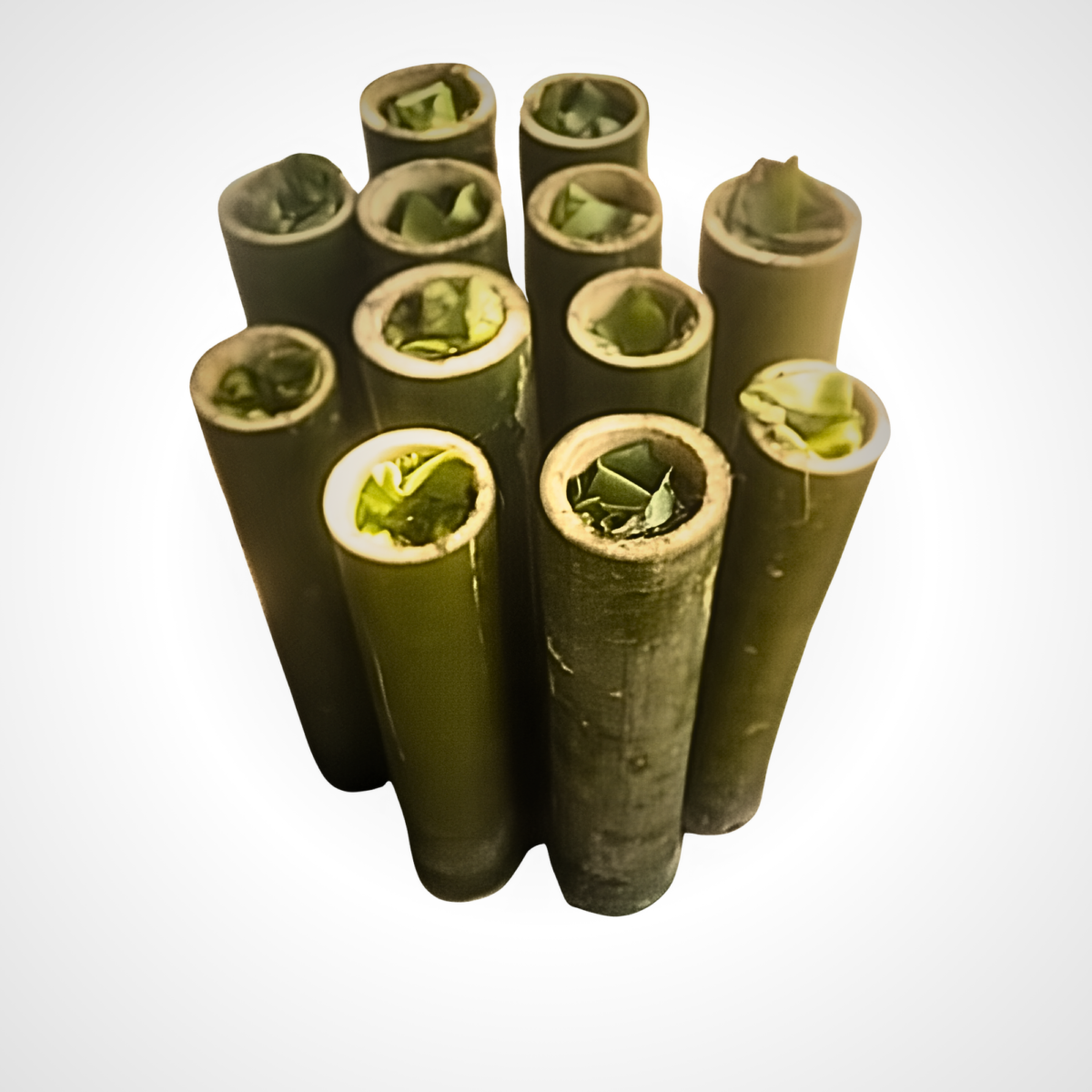 Fermented fish stuffed in bamboo
