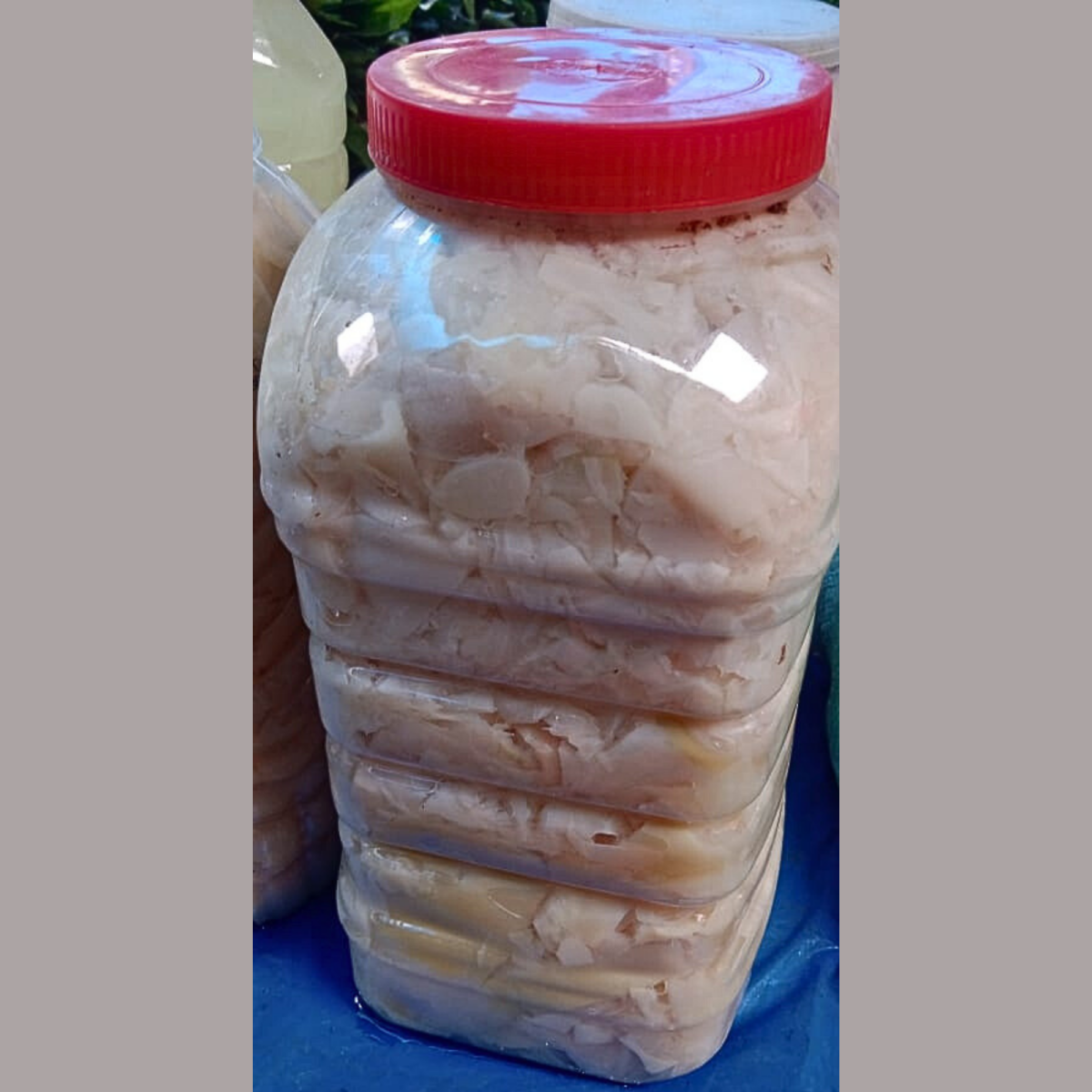Sliced Fermented Bambooshoot
