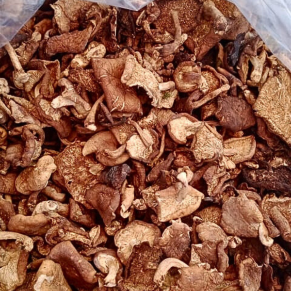 Dried Mushroom