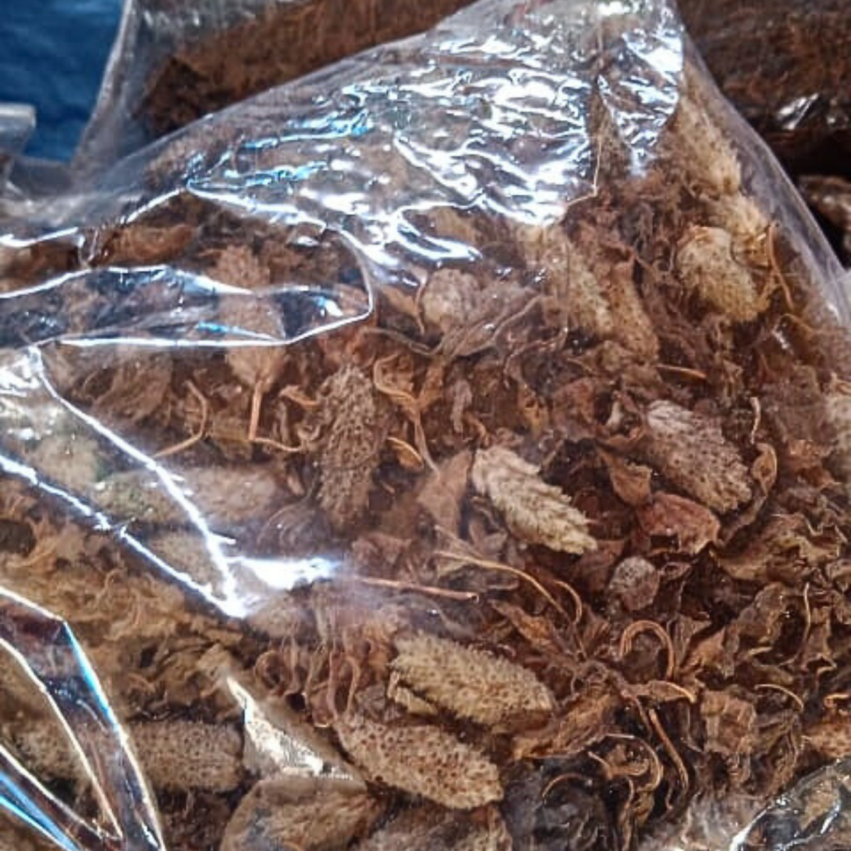 Dried Tulsi