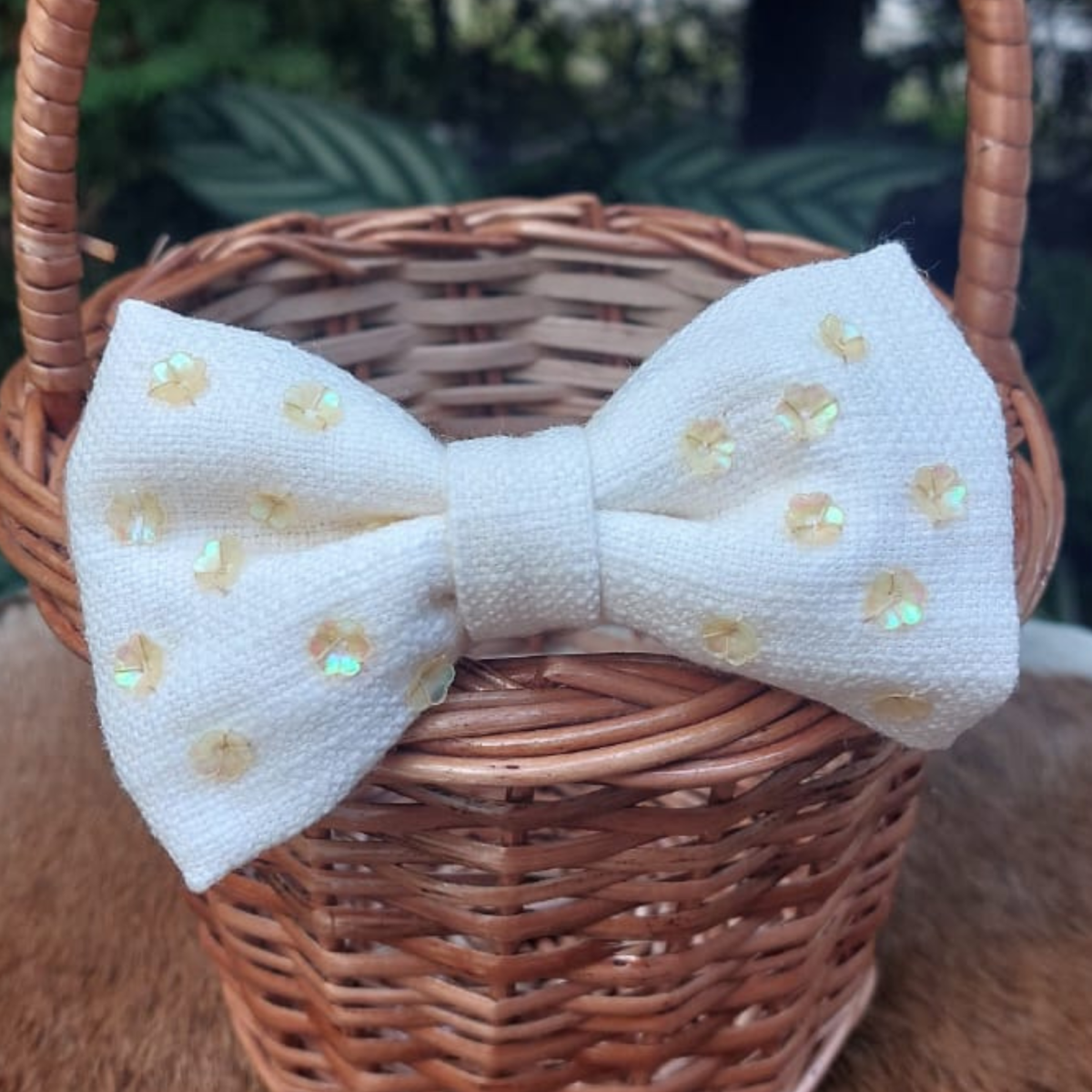 White hairbow