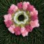 width_412 (1)